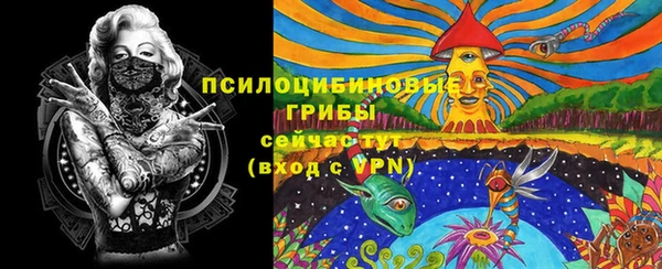 дурь Белокуриха