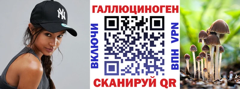 Псилоцибиновые грибы прущие грибы  Верхняя Пышма 