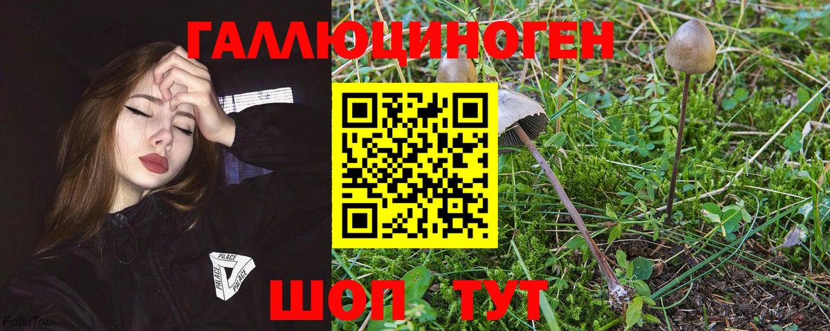 Верхняя Пышма  APVP  Cocaine  Мефедрон  МЕТ  Вход с VPN  Гарик 