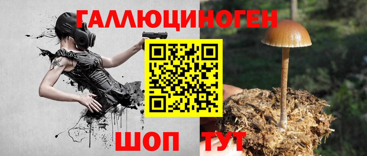 Каннабис  Кодеин  ТГК  Вход с VPN  Верхняя Пышма  Гашиш  COCAIN  A PVP СОЛЬ   ГАШ  Меф кристаллы 