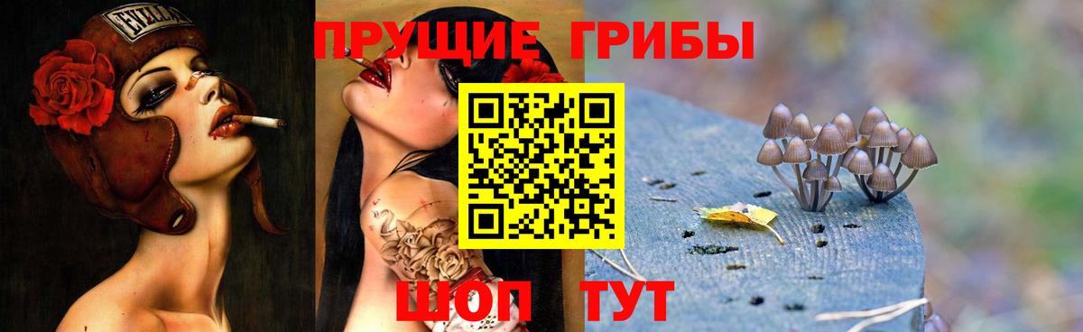 Галлюциногенные грибы GOLDEN TEACHER  Вход с VPN  Верхняя Пышма  Псилоцибиновые грибы мухоморы 